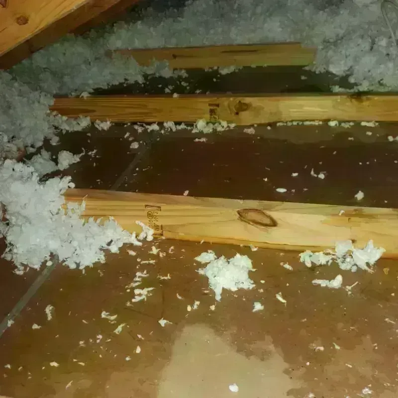 Attic Water Damage in Pittsboro, IN