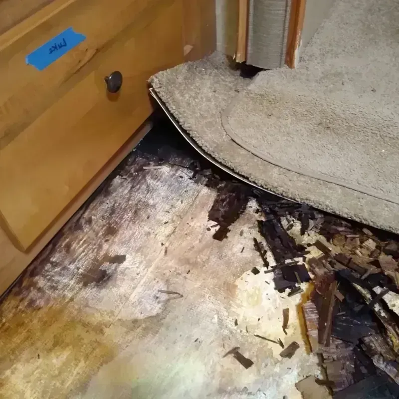 Best Wood Floor Water Damage Service in Pittsboro, IN